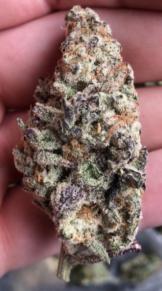 Macro photo of a purple, trichome heavy MAC cannabis bud held between fingers.