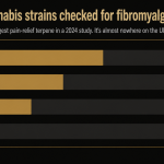 Horizontal bar chart on a dark background comparing four terpenes across 449 UK cannabis strains: caryophyllene 272 of 449, linalool 149 of 449, humulene 82 of 449, and geraniol 1 of 449, with geraniol shown as a tiny highlighted sliver.