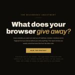 Digital Exposure Report page asking “What does your browser give away?” with a button to run the privacy report.